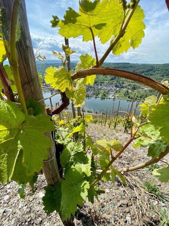 Apartment Mosel Bernkastel-Kues