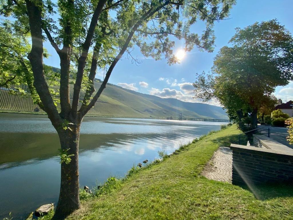 Mosel