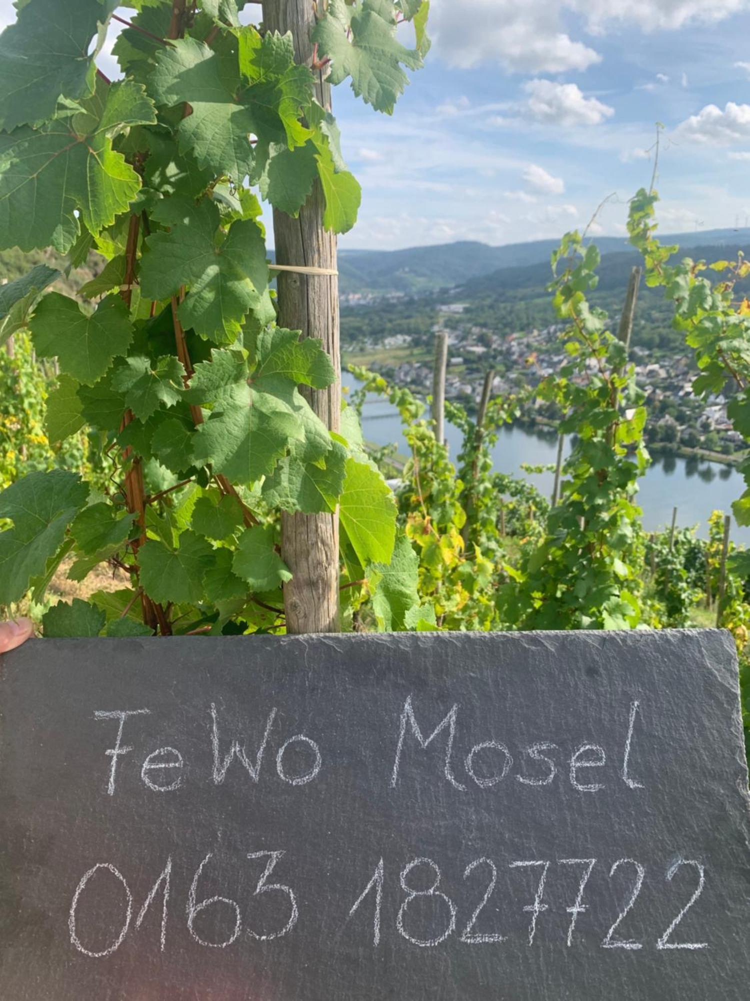 Mosel