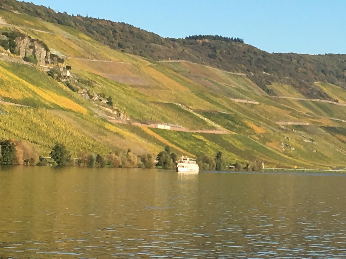 Apartment Mosel Bernkastel-Kues