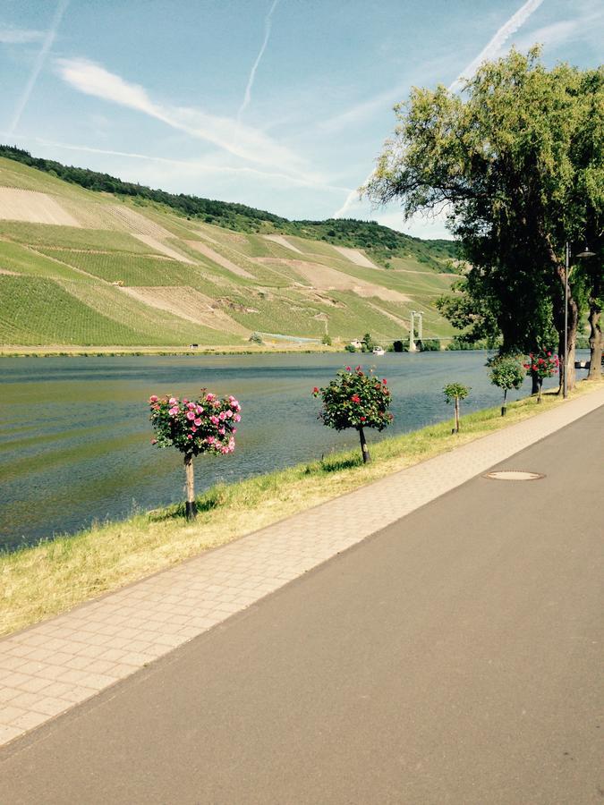 Mosel Apartment Bernkastel-Kues